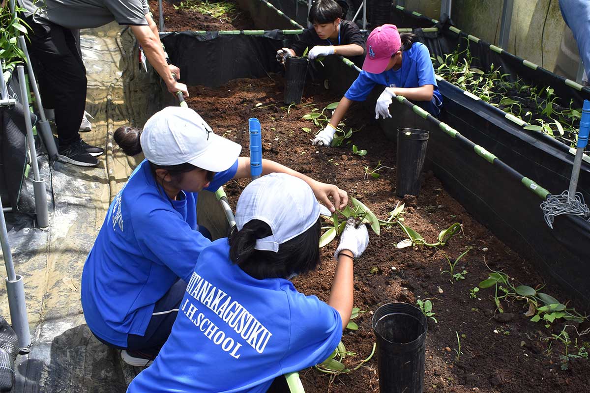 中学生・高校生ボランティア講座の開催